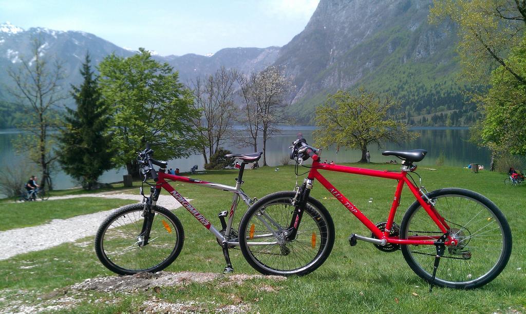 Apartment Bohinjko Szoba fotó
