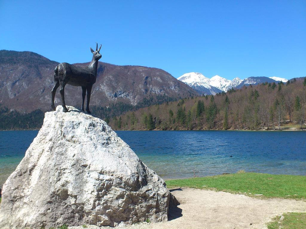 Apartment Bohinjko Kültér fotó